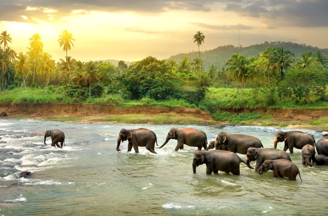 Explore India Periyar National Park